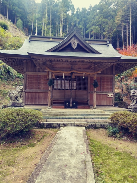 20191124_135509_HDR_Film1.jpg
