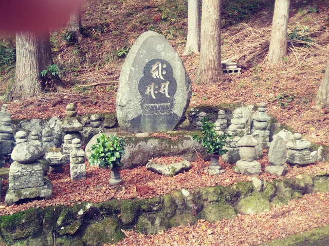 20191126_121119_HDR_Film1.jpg