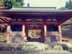 20191126_121431_HDR_Film1.jpg