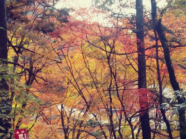 20191126_122909_HDR_Film1.jpg
