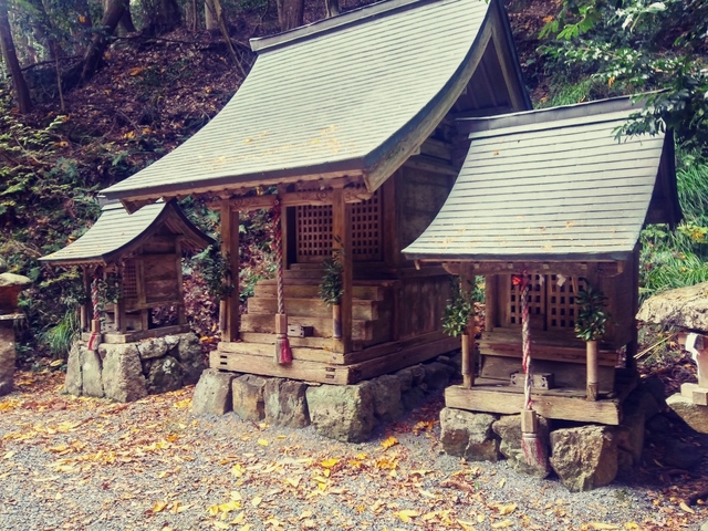 20191126_123150_HDR_Film1.jpg