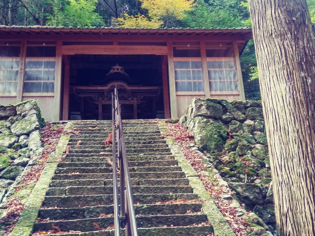 20191126_123719_HDR_Film1.jpg