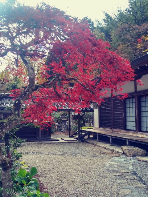 20191126_124139_HDR_Film1.jpg