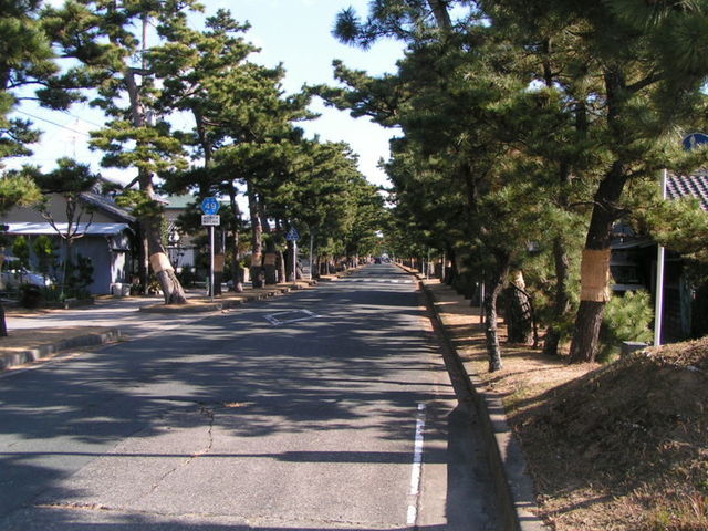 800px-Maisaka.jpg