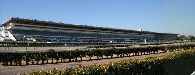Nakayama_Racecourse01.jpg